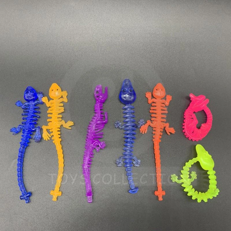 Animal skeleton7